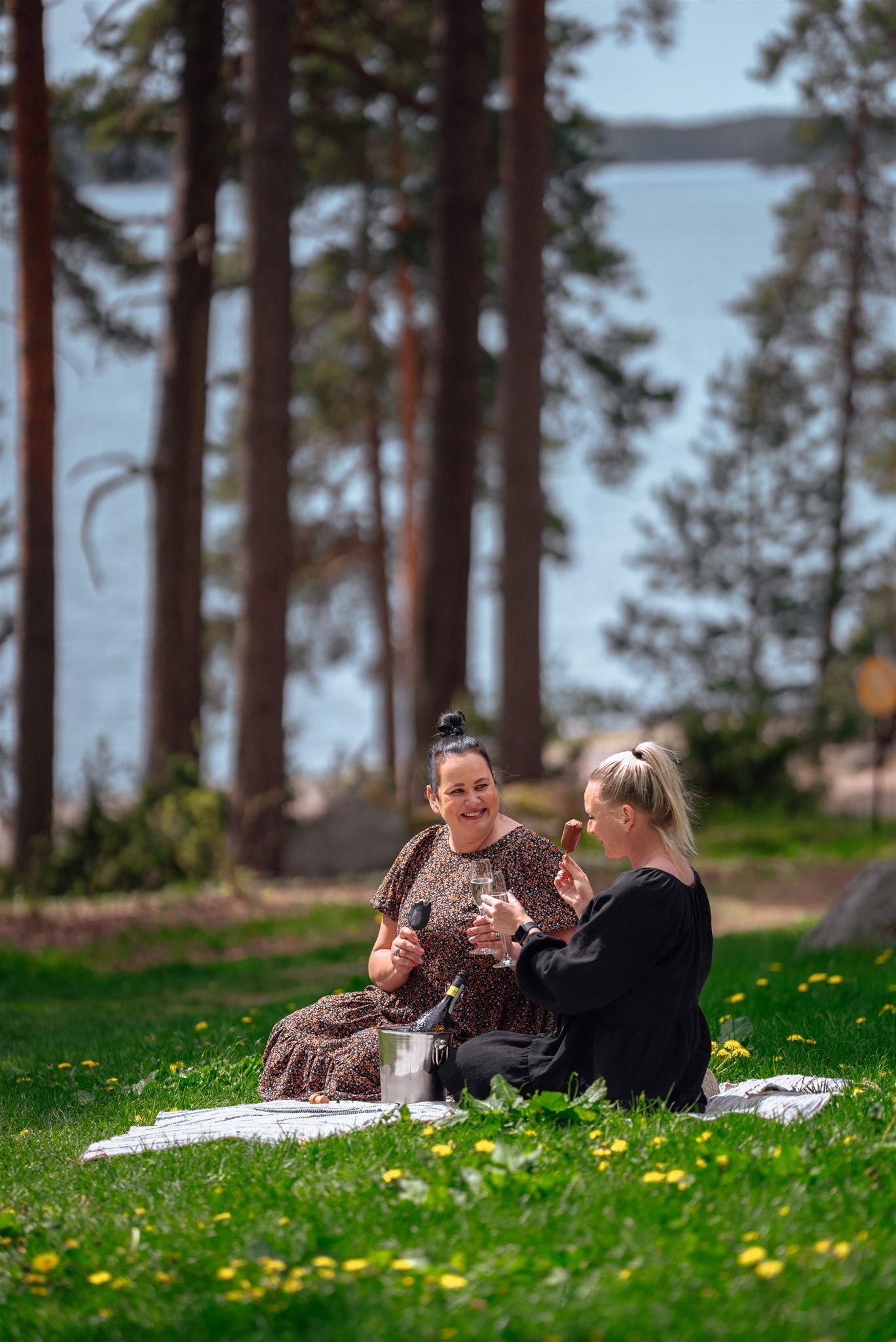 Kaksi ihmistä nauttii drinkin ja keskustelee viltin päällä aurinkoisessa, nurmikentäisessä puistossa, josta on näkymät järvelle ja metsään.