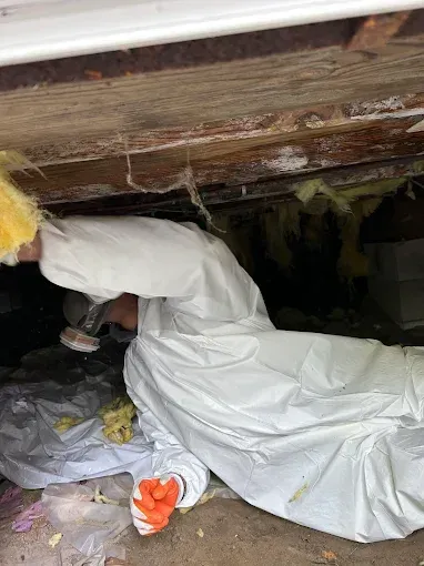 Person in a white hazmat suit inspects a crawl space, with yellow insulation and debris visible.