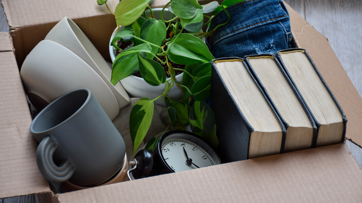 Cardboard box with packed items: books, a plant, mugs, clock, and denim.