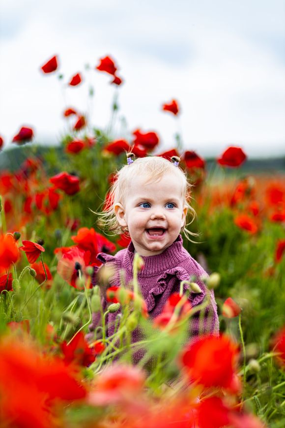 Lachende peuter in een veld vol rode bloemen, met felrode klaprozen op de voorgrond. Kinderfotograaf. 