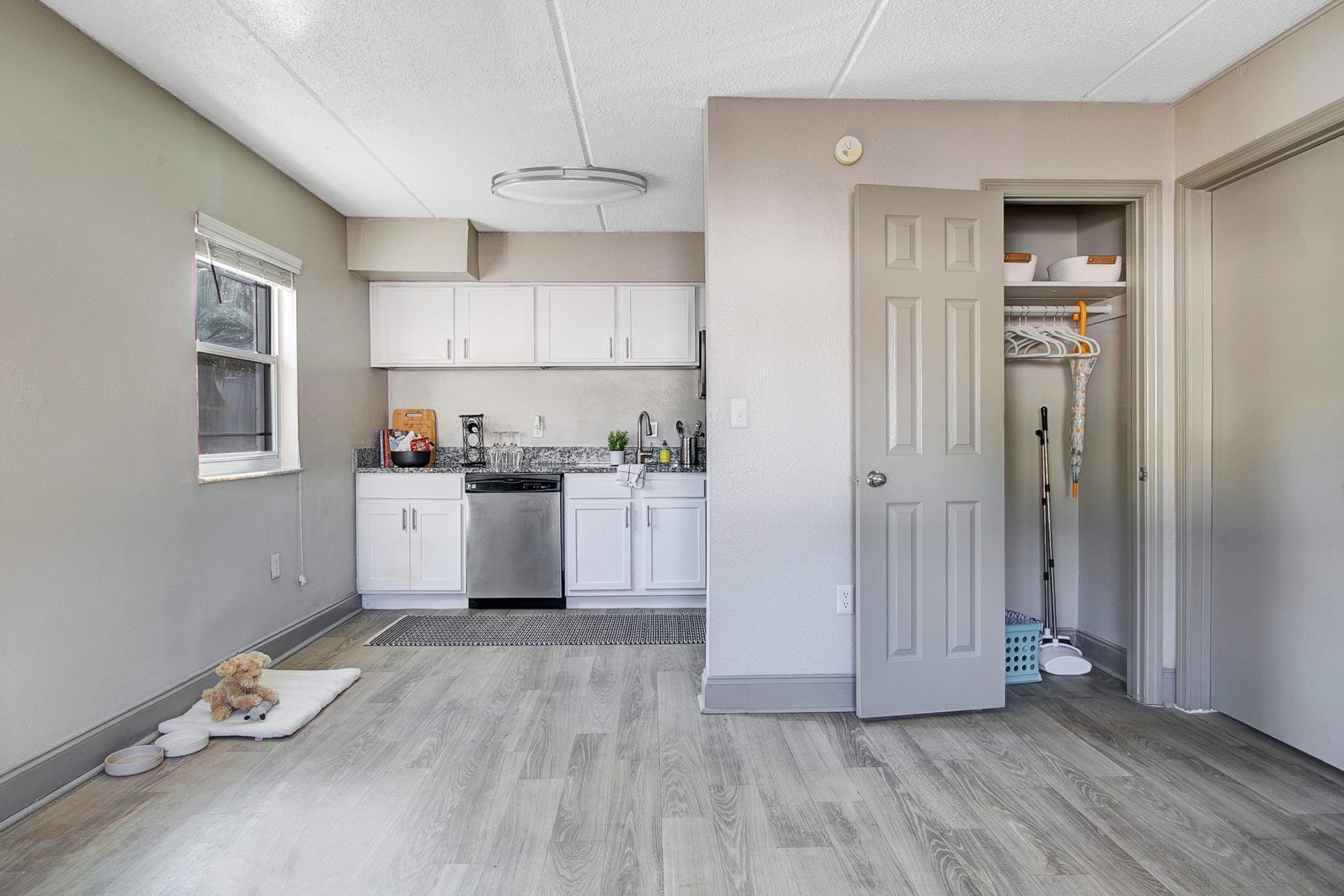 A living room with a kitchen and a dog on the floor.