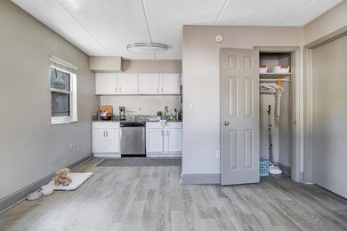 A living room with a kitchen and a dog on the floor.