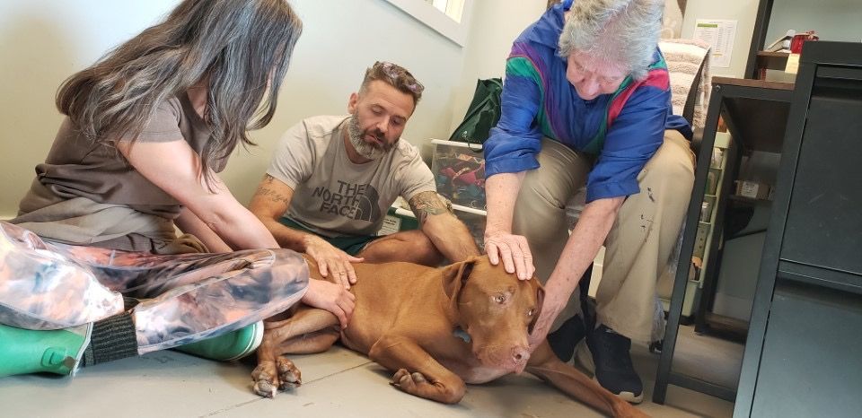 Giving Jin Shin Jyutsu as a group.