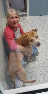 Jin Shin Jyutsu helps calm a timid dog.