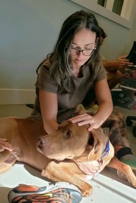 Jin Shin Jyutsu harmonizing hands.