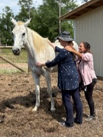Adele with student giving energy healing aid to a beautiful white horse.
