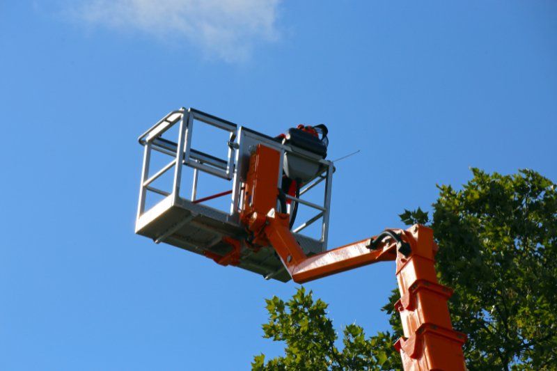 Specialised Tree Lopping Equipment Operated by a Professional Arborist to Lop Trees in Perth