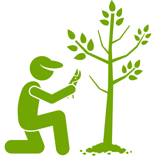 Tree Pruning Icon