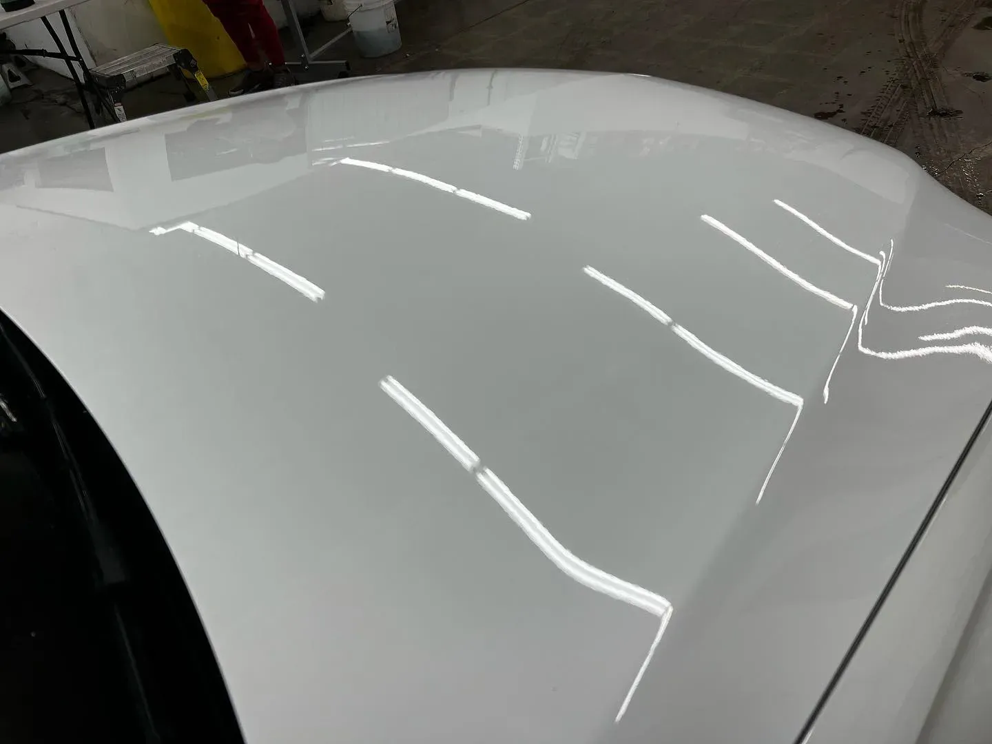 paint protection film on white car
