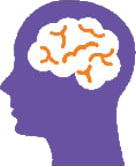 human head