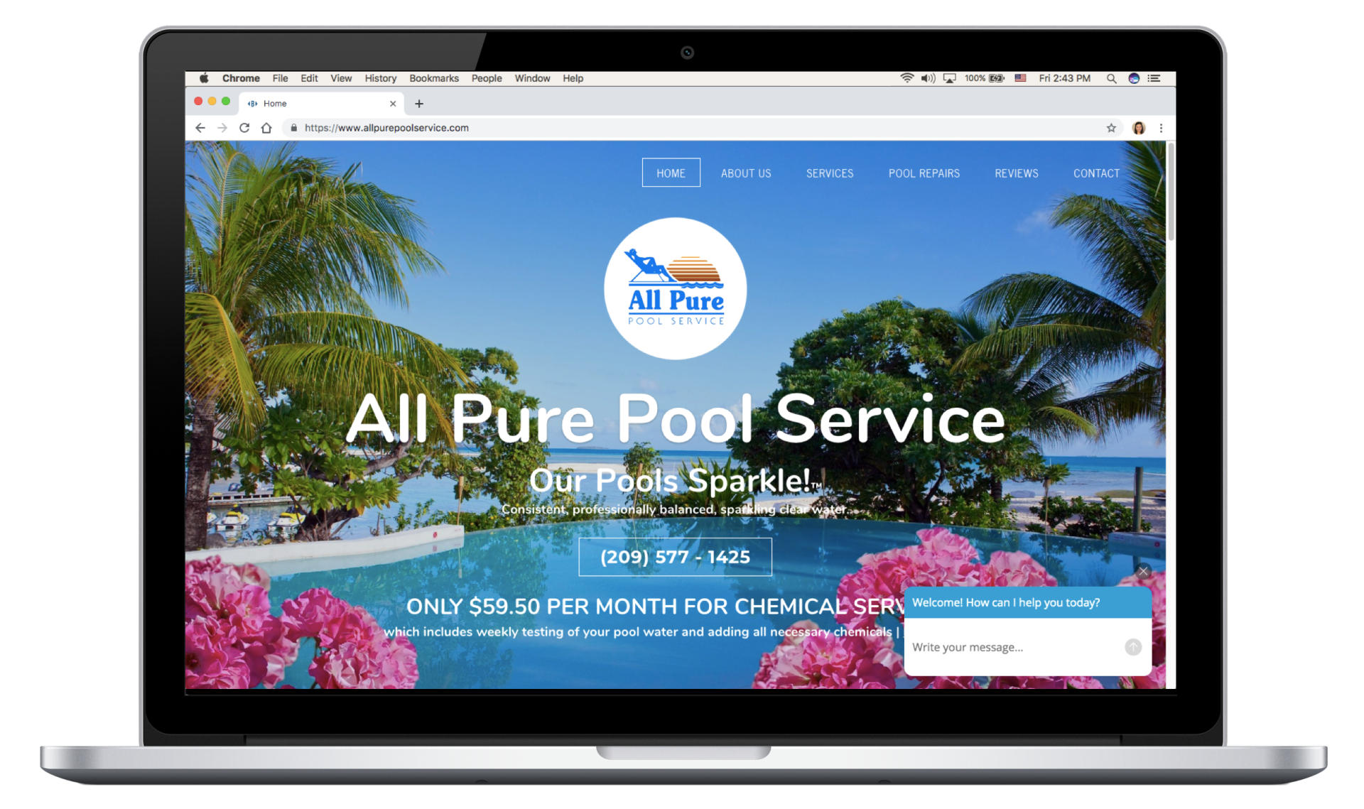 All Pure Pool Service
