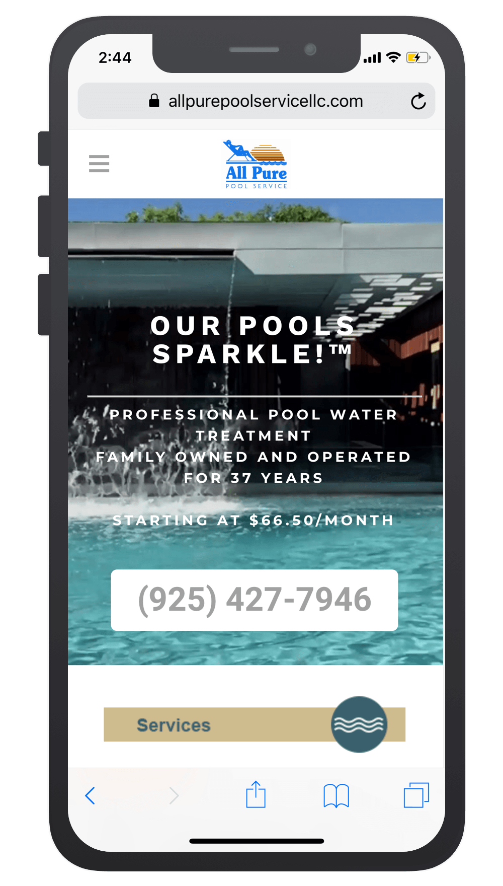 All Pure Pool Service