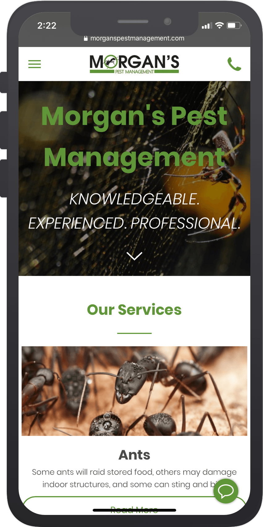 Morgan's Pest Management