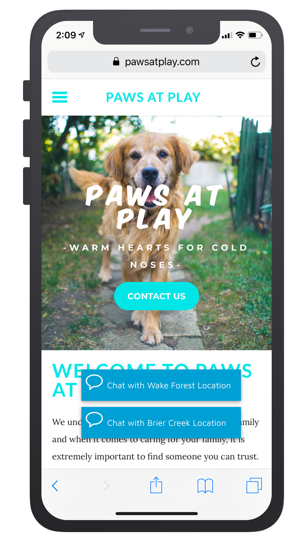 Paws At Play Mobile