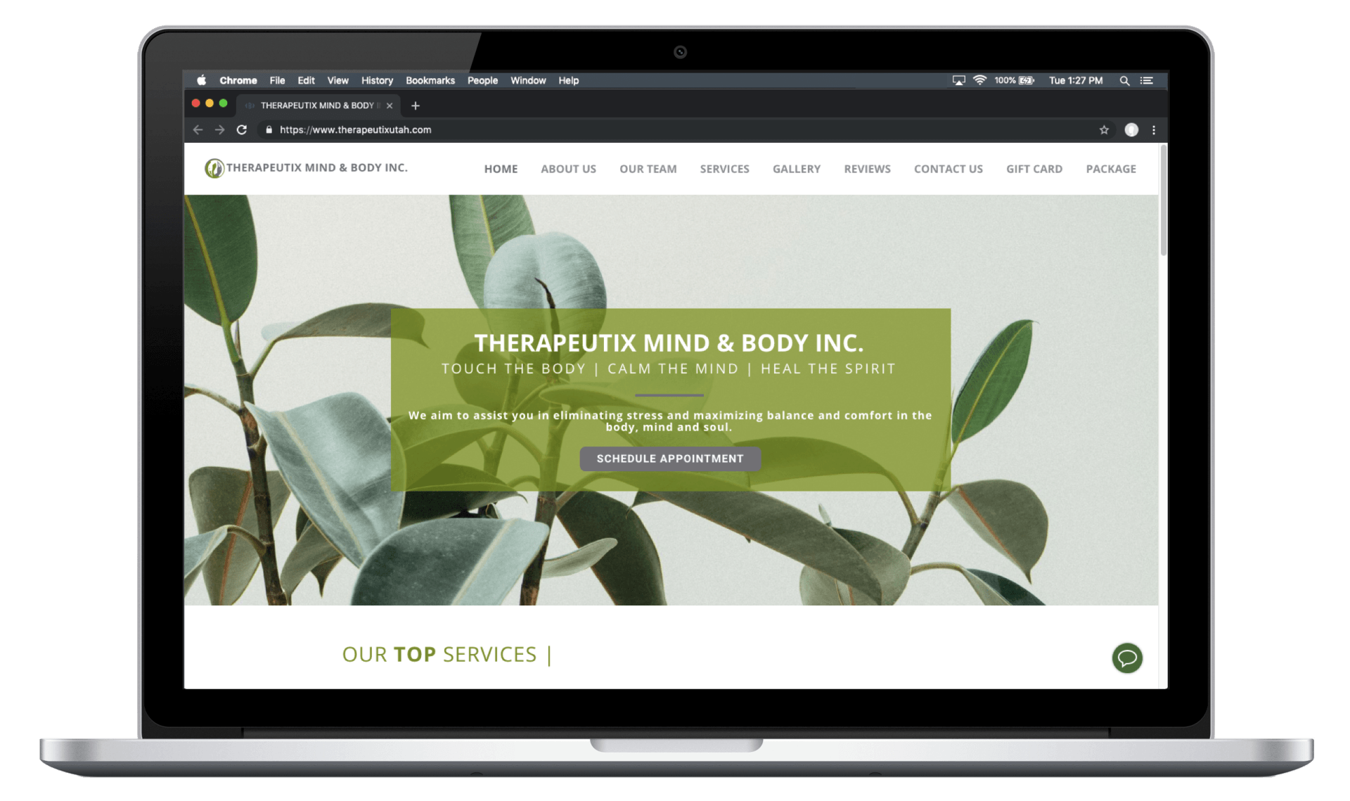 Therapeutix Mind & Body Desktop
