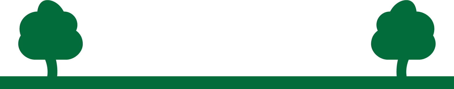 green separator graphic 