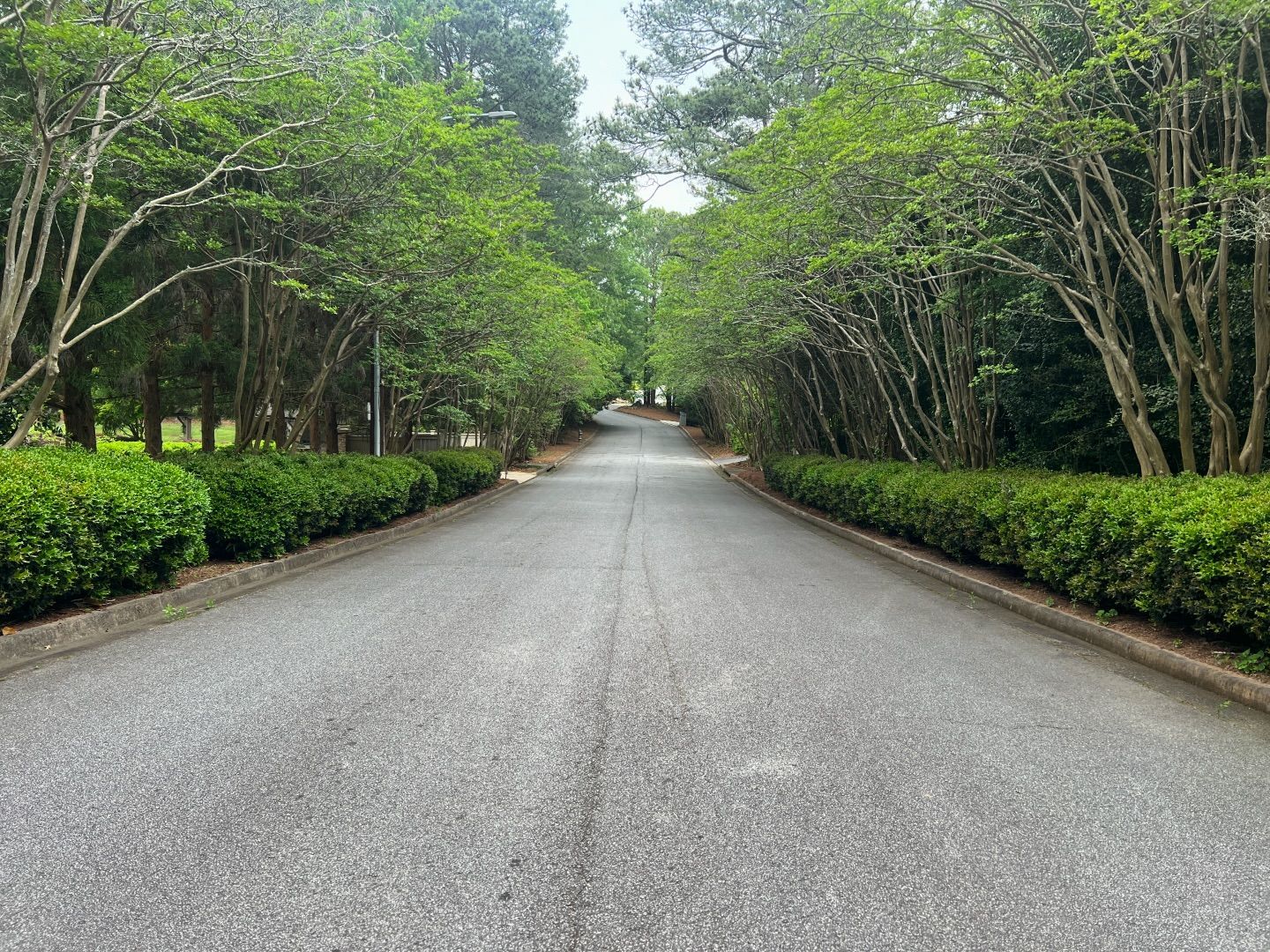 Paved road lined with hedges and trees, leading toward a light-filled distance.