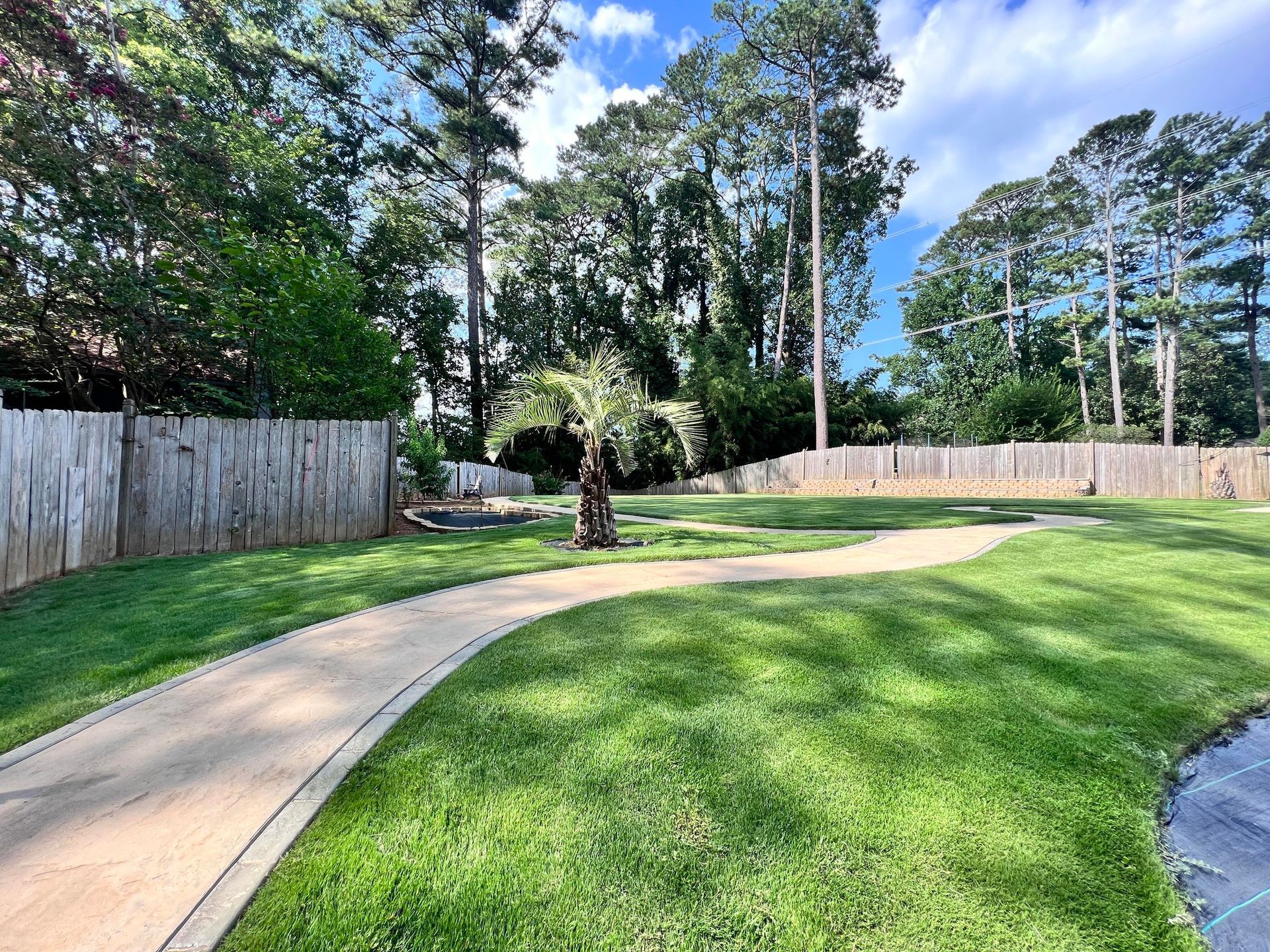 Lush green backyard with a winding path, surrounded by trees and a wooden fence, under a partly cloudy sky.