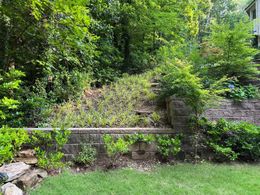 Stone retaining wall with plants and trees on a hillside with green grass.