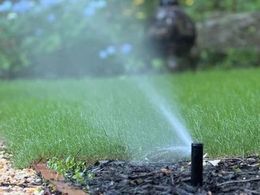 Sprinkler watering a green lawn, with blue flowers in the background.