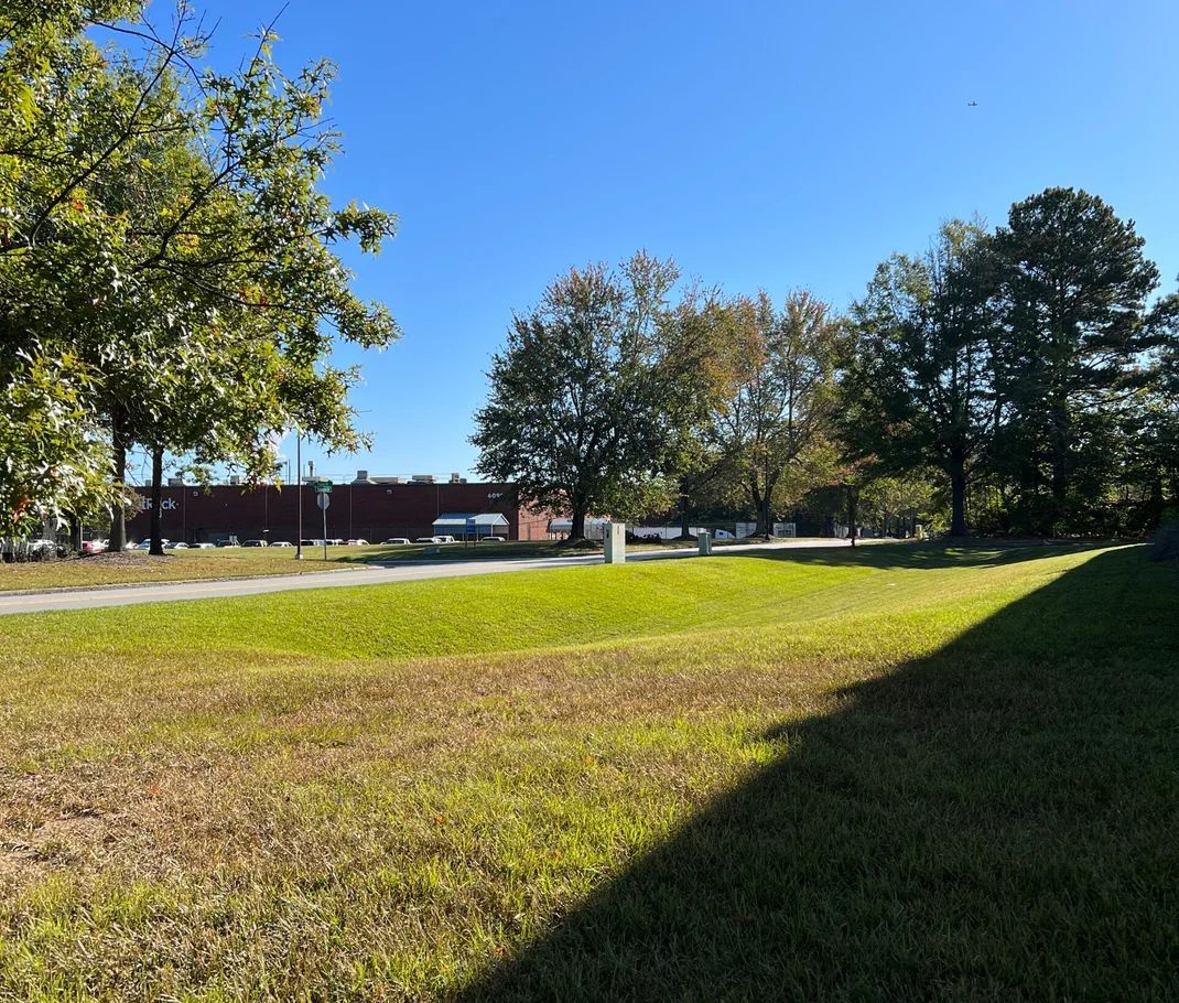 A grassy field with trees and a building under a bright blue sky.