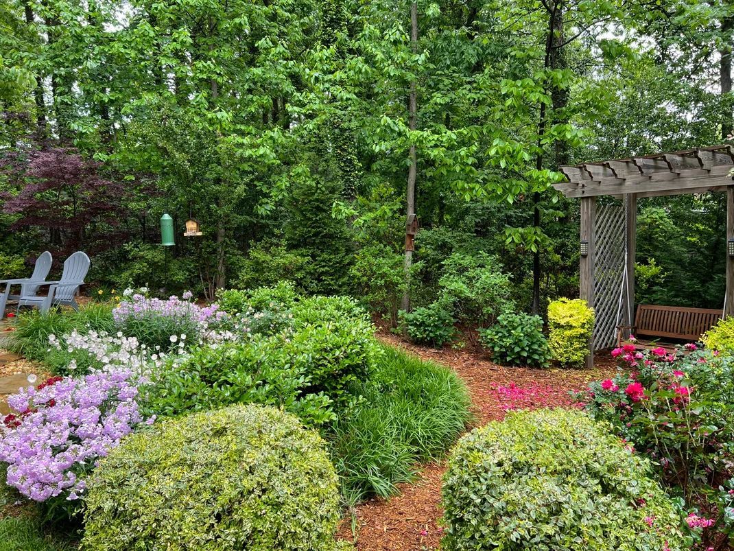 A lush garden path leads to a wooden pergola, surrounded by colorful flowers and greenery.