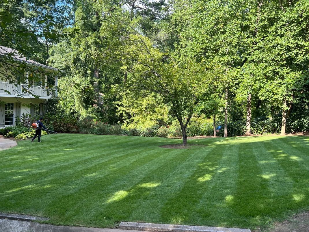 Man blowing leaves on a striped green lawn in front of a house and trees.