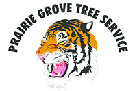 Prairie Grove Tree Service Logo