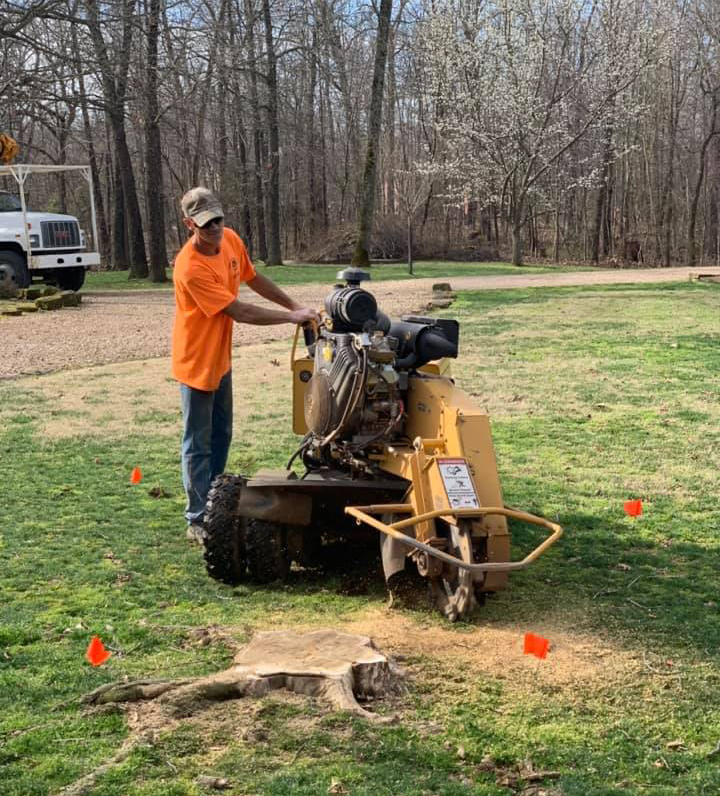 Grinding stump