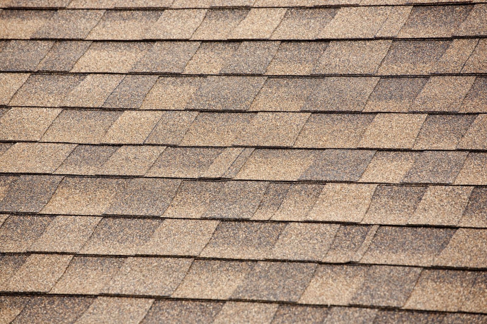 Tamko Shingle Installation and Service