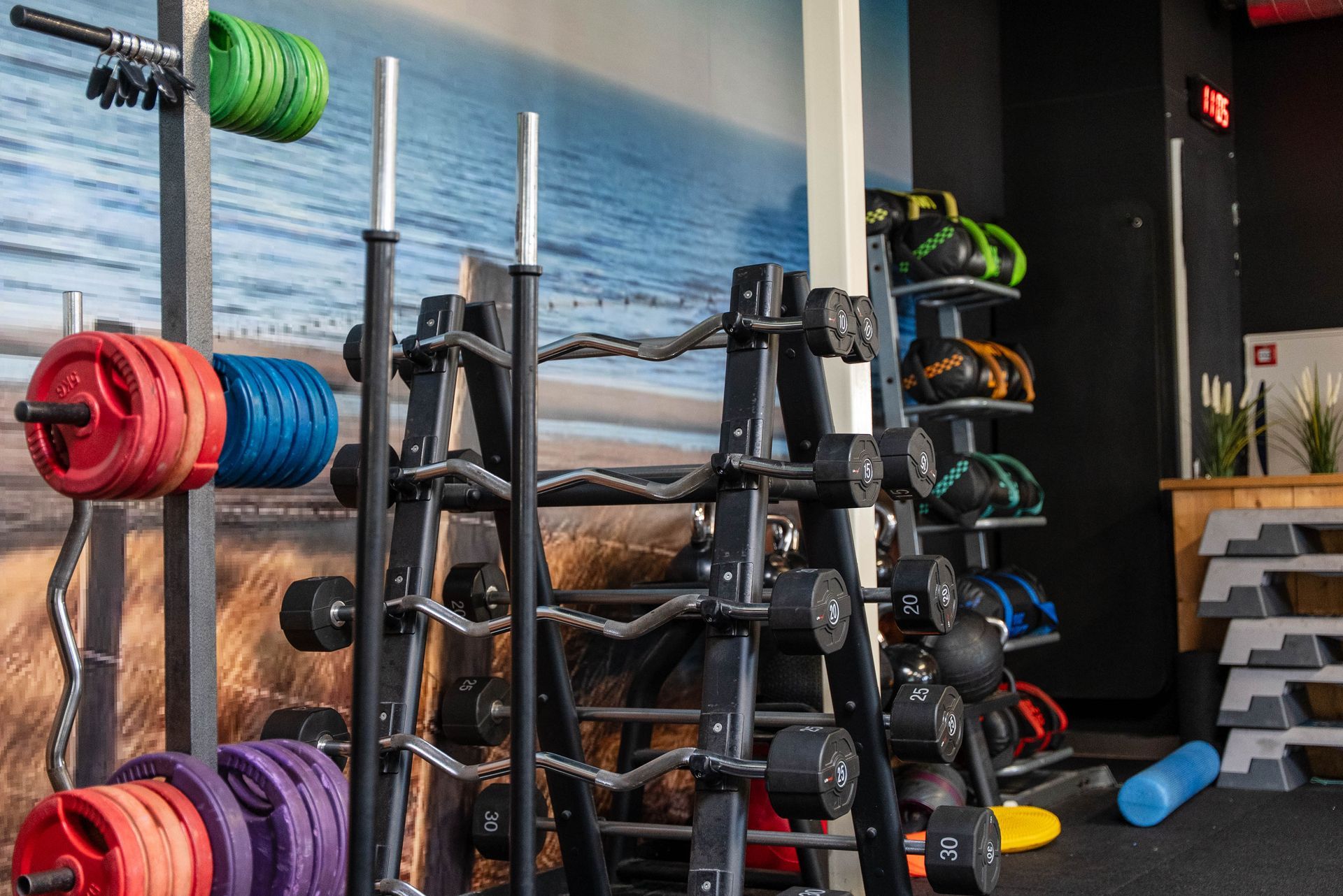 Een sportschool met gewichten en fitnessapparatuur tegen een muurschilding van een strandscène.