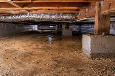 Crawlspace Mold Treatment in Fort Myers, FL