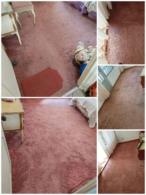 CLEAN Y CARE EN MICHOACÁN