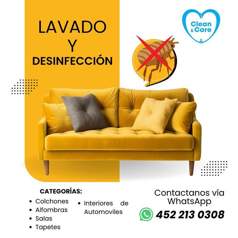 CLEAN Y CARE EN MICHOACÁN