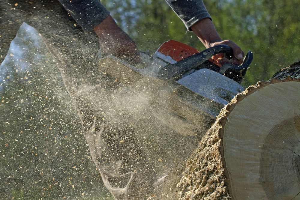 Person using a chainsaw to cut a log, wood chips flying in the air.
