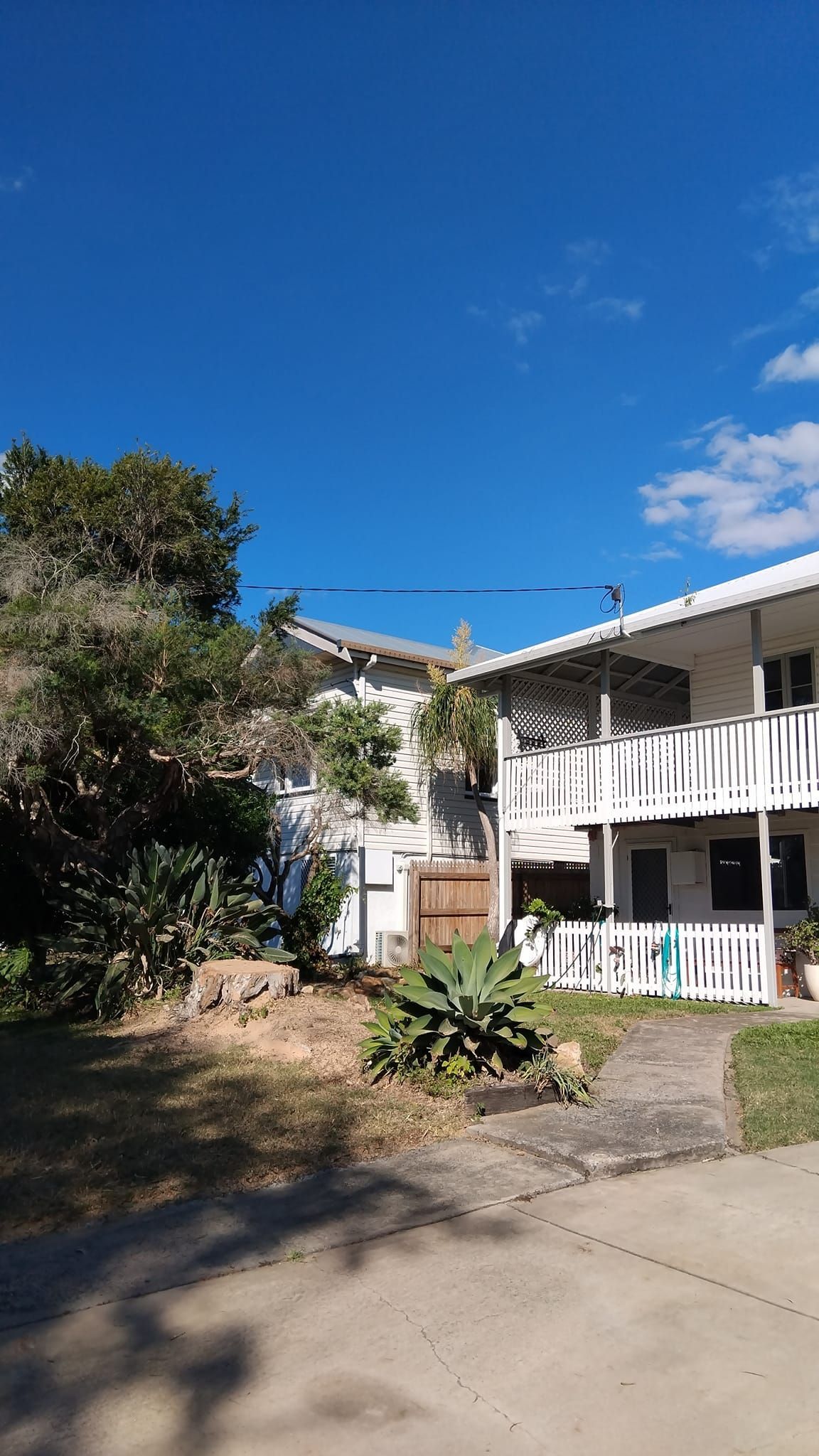 Two-story White Building With Balconies, Trees, and Bright Blue Sky — Hearns Tree Maintenance In Auchenflower, QLD