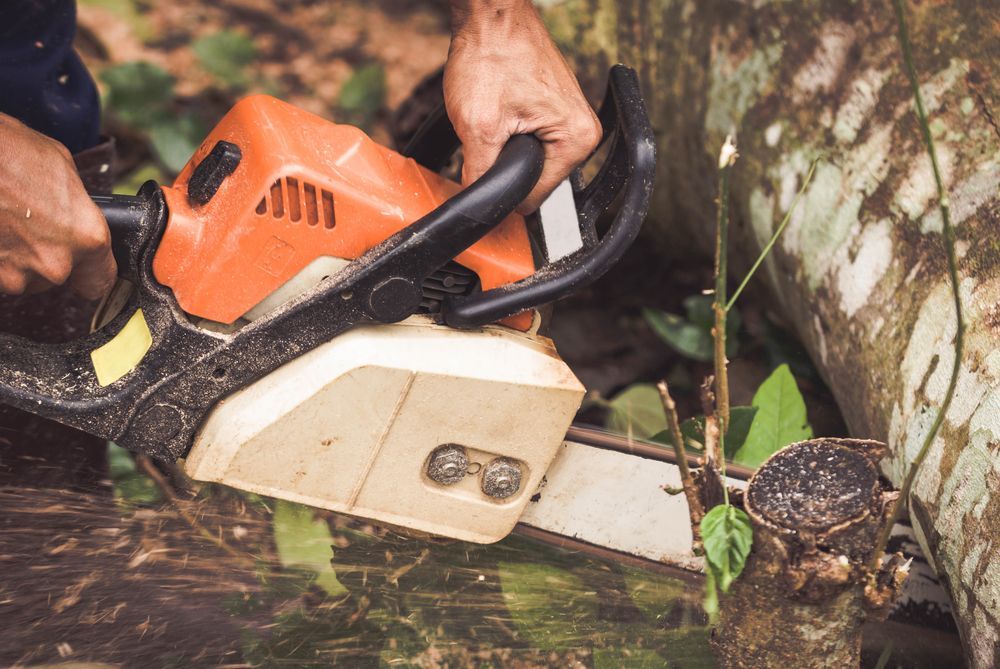 Person using an orange chainsaw to cut a fallen tree trunk outdoors — Hearns Tree Maintenance In Auchenflower, QLD