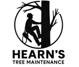 Tree Maintenance in Brisbane Tree Maintenance in Brisbane