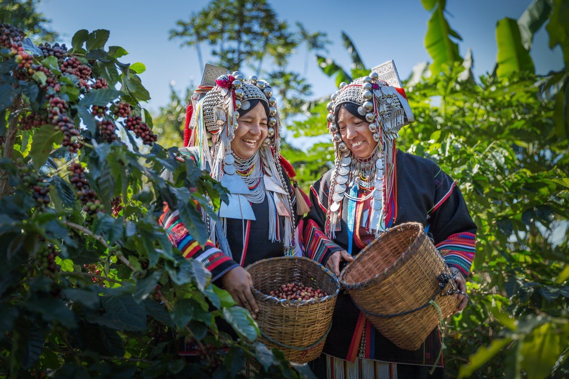 Where to Find the Best Coffee in Eugene: The Kiva Grocery Store 24 Ethical coffee brands work to build relationships with farmers.