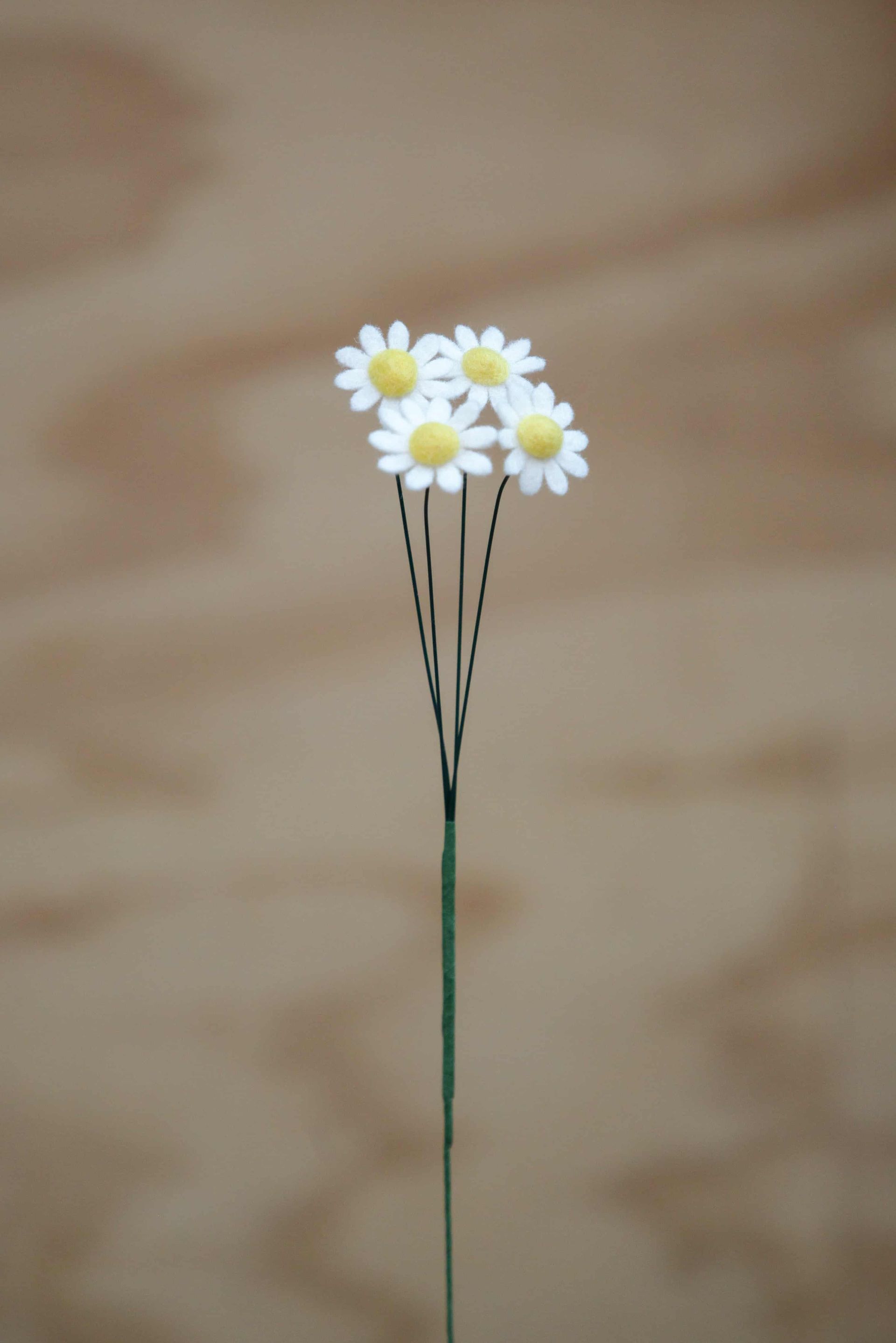 geboortebloem april; madeliefje, handgemaakt van vilt