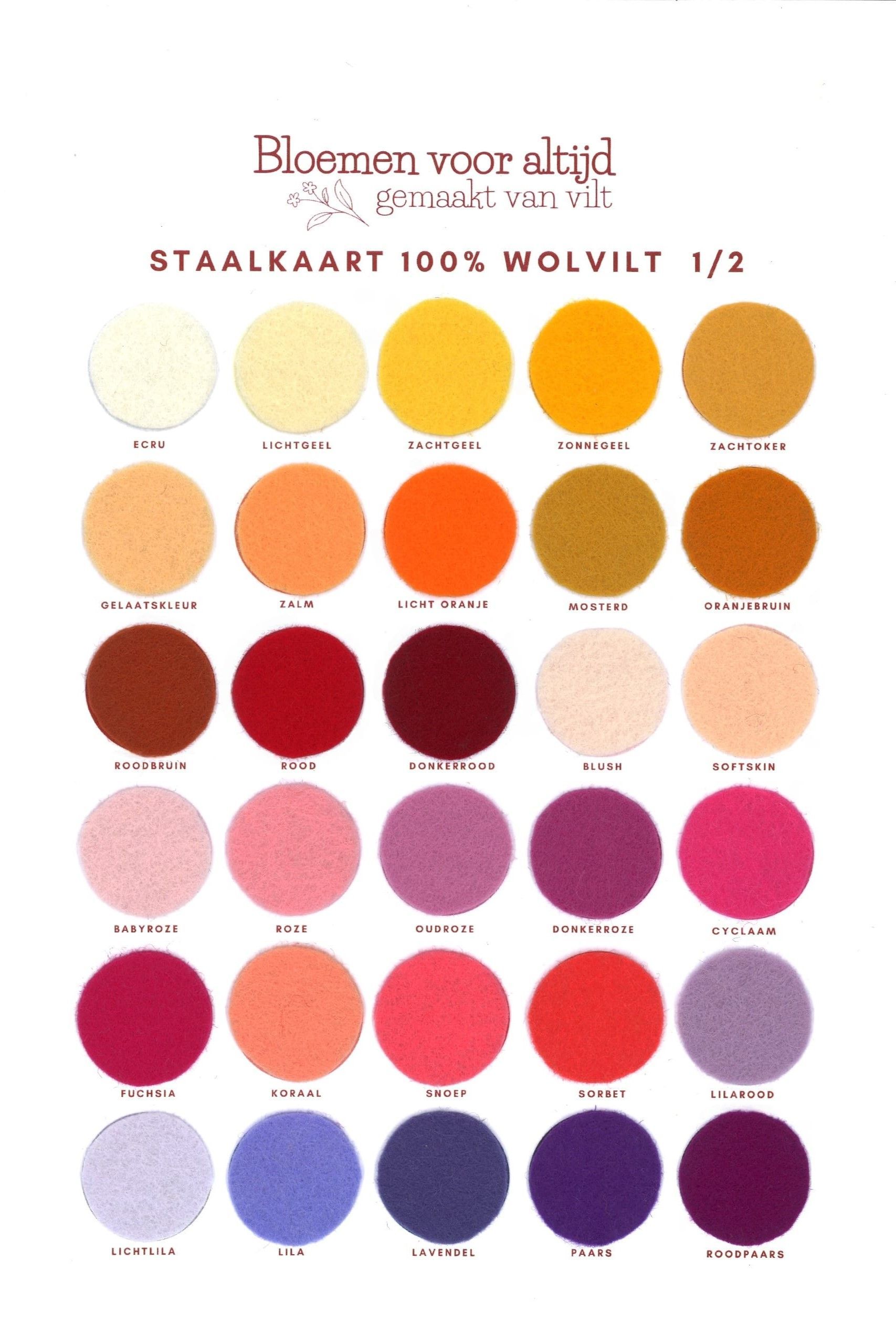 onze staalkaart met kleuren