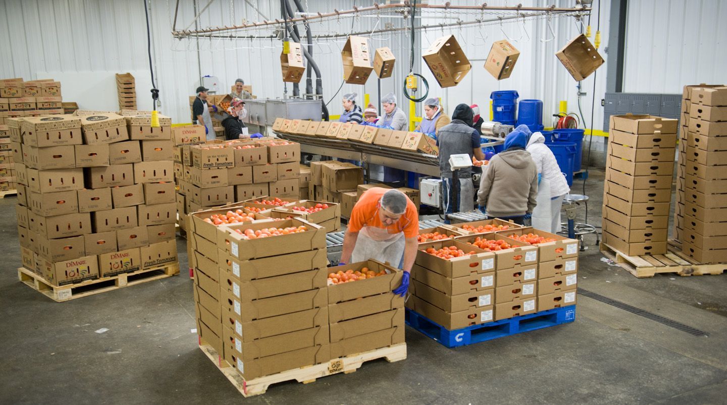 R.S. Hanline & Company| Expert Food Manufacturing Solutions