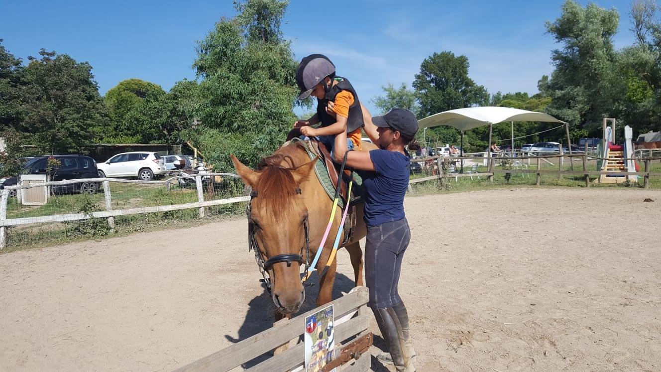 cavallino bianco equitazione