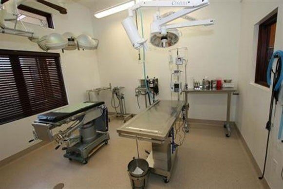 Emergency room - Veterinary Hospital in Caldwell, ID