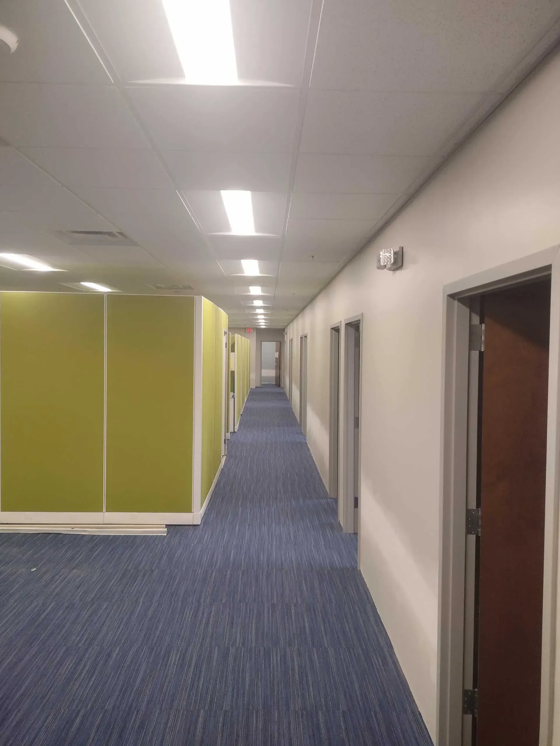 Long office hallway with blue carpet, white walls, and doors on the right. Bright overhead lights.