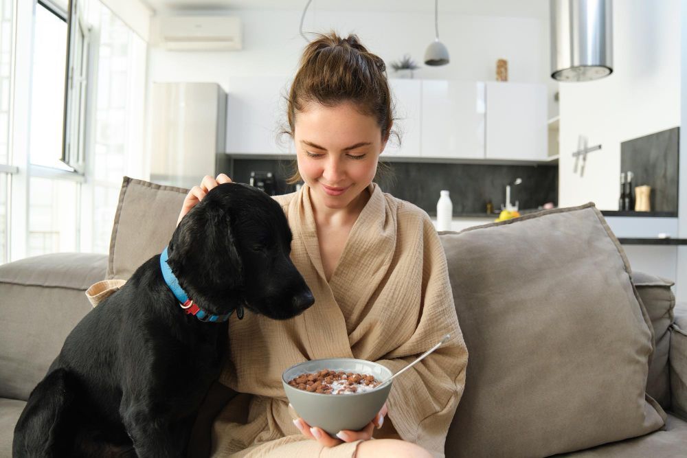 Expert Feeding Guide for Healthy Pets