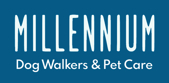 Millennium Dog Walkers