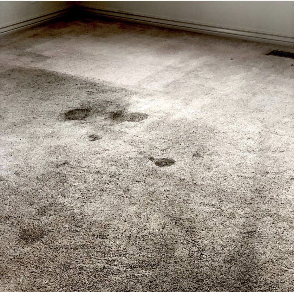 Carpet Cleaners Meridian, ID System Kleen