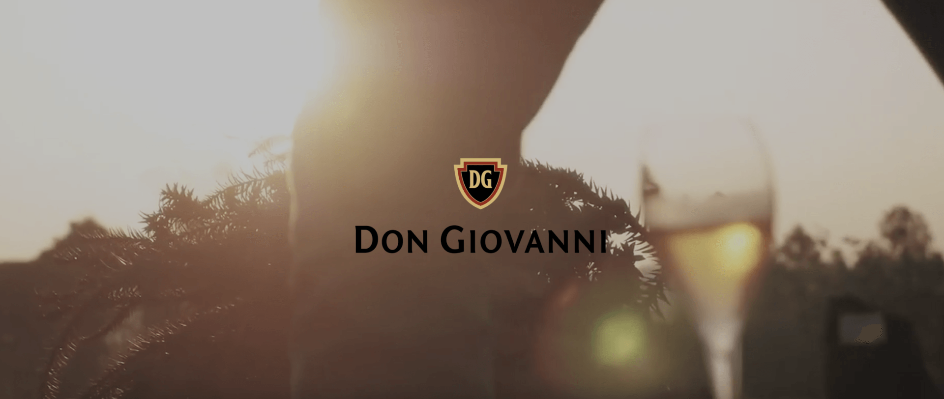 Don Giovanni, Industria e Comercio de Bebidas Ltda