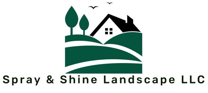 Spray & Shine Logo
